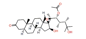 Hippuristerone H